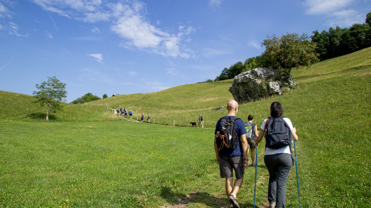 Back view of a couple with backpacks hiking on a green grassland path under a clear blue sky.